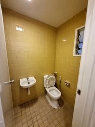 The Cairnhill (D9), Condominium #582246351